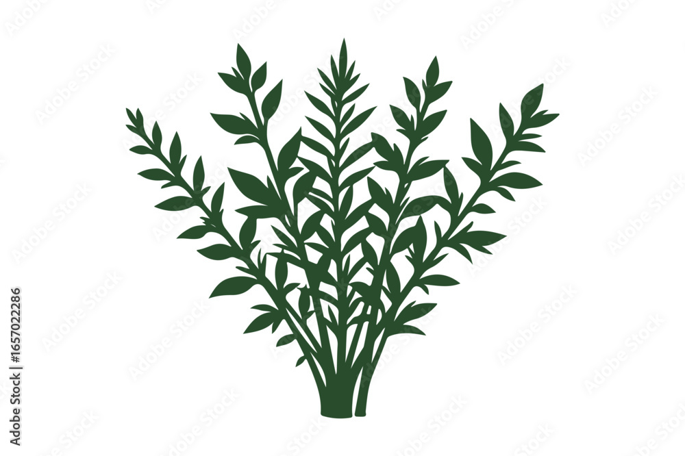 Naklejka premium Green leafy plant with multiple branches against a white background