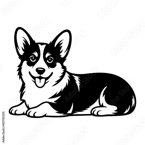 Corgi Laying Down