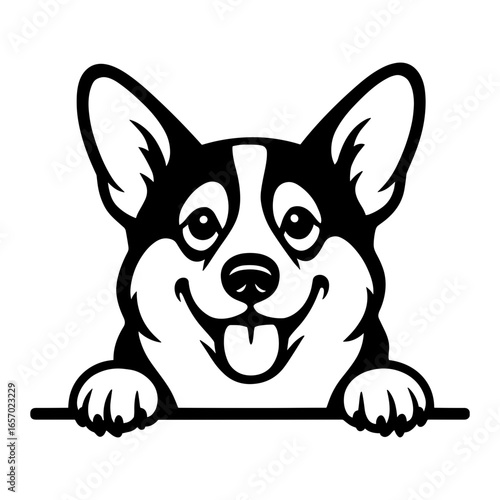 Peeking Corgi