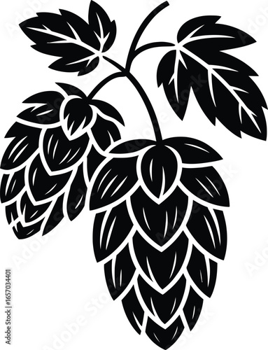 Black and white illustration of hop cones and leaves on a stem hops plant