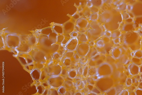 close-up of the structure of the washcloth