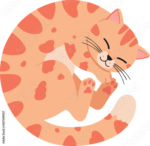 Cute sleeping orange tabby cat curled up in a ball vector illustration for pet and animal lovers