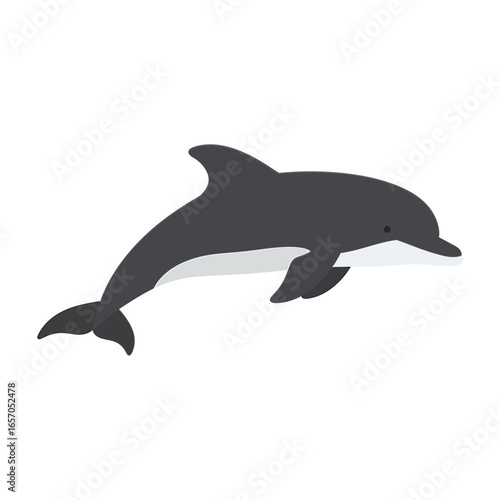Illustration of a dolphin, showcasing its sleek body and playful nature, a symbol of marine intelligence and grace