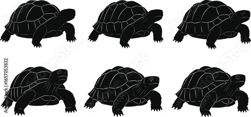 Tortoise silhouettes, vector, black, gear icon, puzzle, animal, reptile, slow, pattern, concept, illustration, comparison