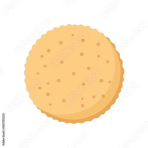 A single cracker, a crispy and salty snack made from wheat flour, perfect for appetizers and tasty treats