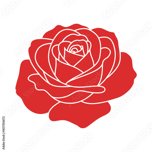 A beautiful red rose, a classic symbol of love and beauty, perfect for floral designs and romantic themes
