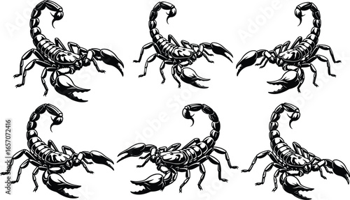Scorpion illustrations set in various poses, detailed vector design, isolated elements, arachnid icons, wildlife graphics, dangerous animal symbols, desert creature anatomy