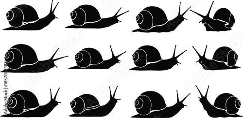 Snail silhouettes set, various positions and angles, vector illustration, isolated design, gastropod icons, nature wildlife elements, shell animal shapes, biological study references