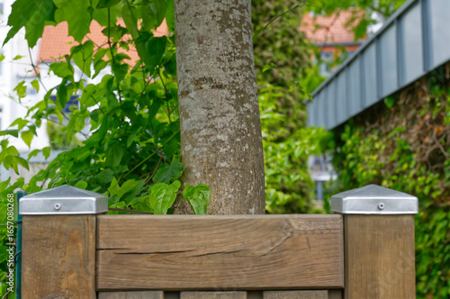 Billede på lærred Small wooden fence with capped posts and tree growing just behind it