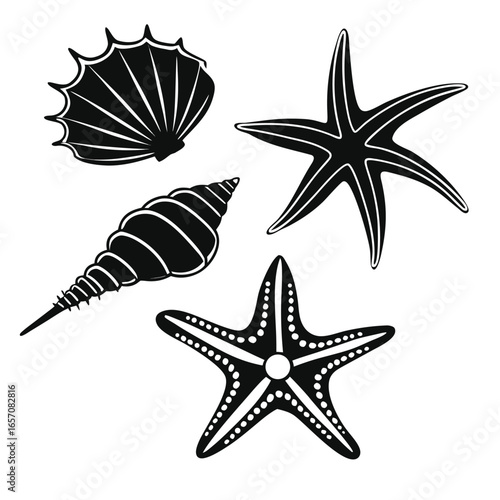 Set of different black sea shells and starfish vector illustration        