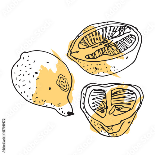 set of lemons from whole fruit and halves in sketch style on yellow spot, pulp with seeds