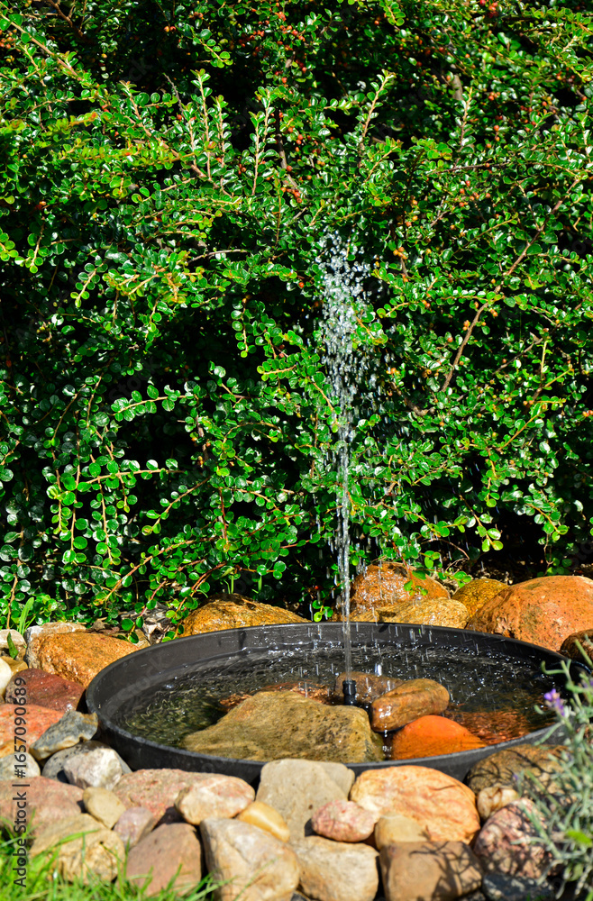 Obraz premium źródełko w ogrodzie, mini fontanna solarna otoczona kamieniami i zielonymi roślinami, tryskający strumień wody z małej fontanny ogrodowej, a solar fountain in a small bowl in the garden 
