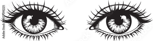 Intriguing Gaze: An artistic vector image of two eyes, meticulously detailed and expressive, inviting the viewer to delve into the depths of perception.