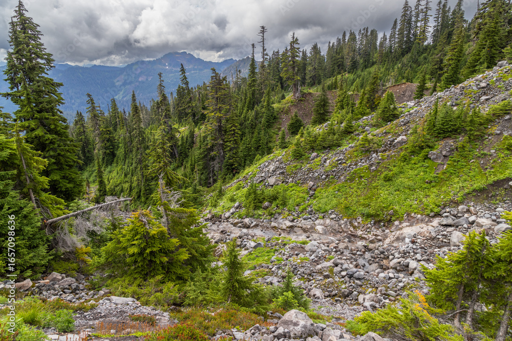 Fototapeta premium rocky mountain landscape