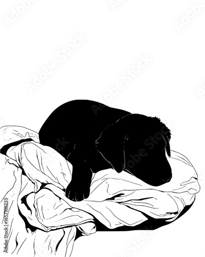 A black and white illustration of a sleeping puppy on a blanket, , showcasing a cozy and peaceful moment of rest for the canine vector art drawing