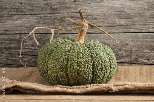 Fall Harvest Buen Gusto de Horno Pumpkin on Burlap