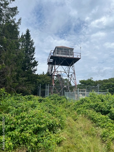 Elliot Knob - Augusta County, VA