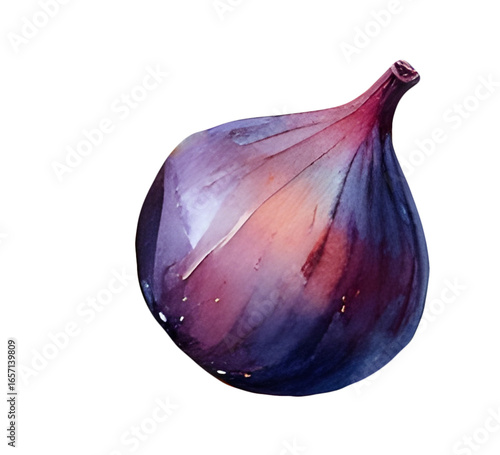 Isolated watercolor fig fruit PNG, fresh tropical organic food illustration, hand drawn botanical clipart of ripe figs, healthy vegetarian dessert ingredient, transparent background element