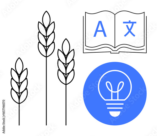 Wheat stalks symbolize agriculture, an open book represents multilingual education, and a lightbulb signifies innovation. Ideal for sustainability, farming, education, research, technology