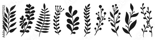  plant elements organic garden foliage botanical isolated vector silhouettes vector illustration