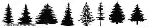 professional pine trees silhouette vector illustration