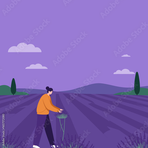 Woman harvesting fragrant lavender in a vast purple field, embodying rural life and natural beauty. Perfect for themes of agriculture, travel, and wellness.