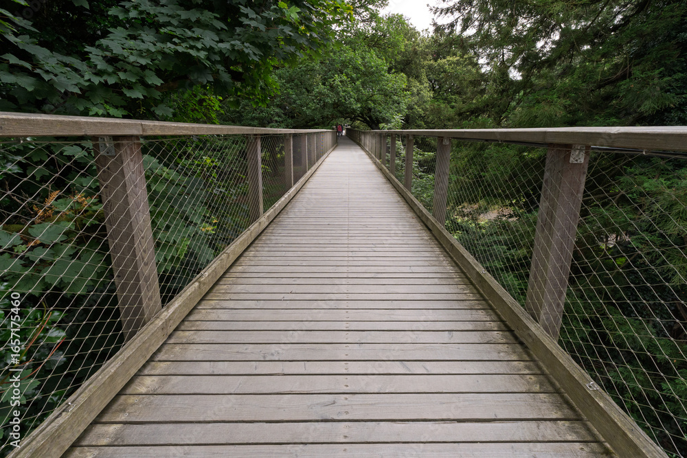Obraz premium A wooden bridge with a wire fence on it