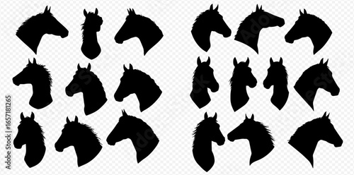 A diverse collection of black horse head silhouettes, showcasing various profiles and angles on a transparent background.