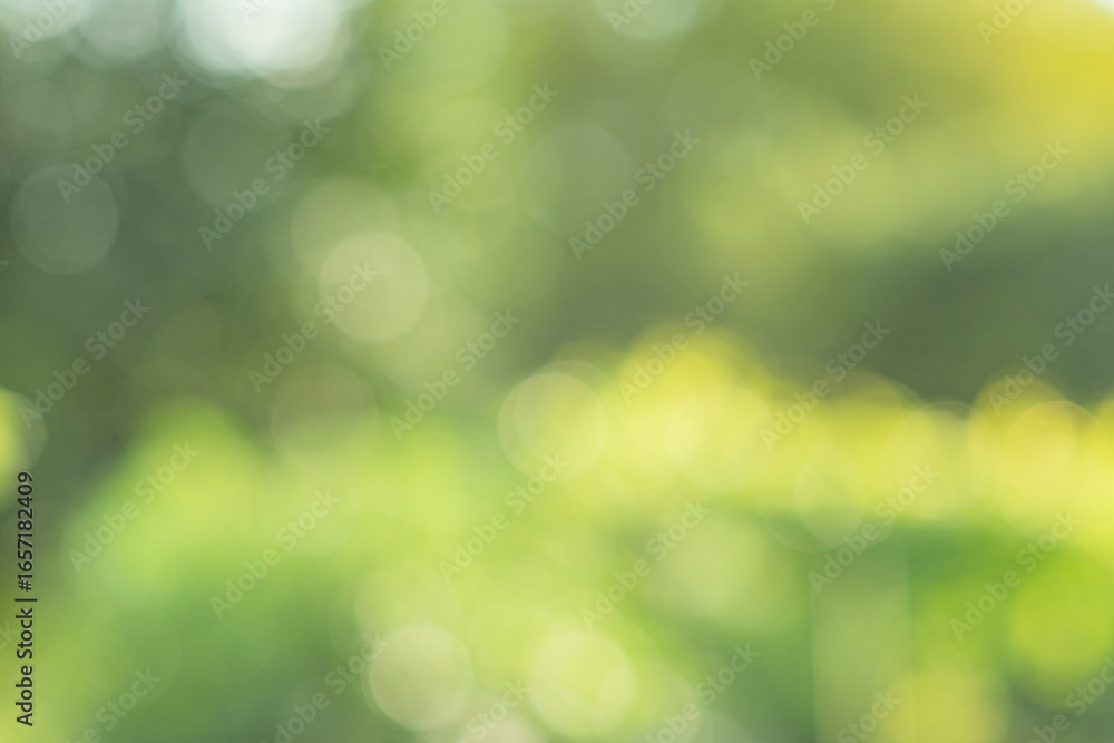 Obraz premium Abstract defocus light green natural background.