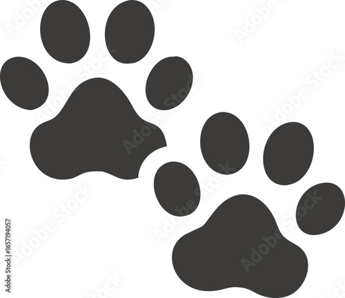 footprint