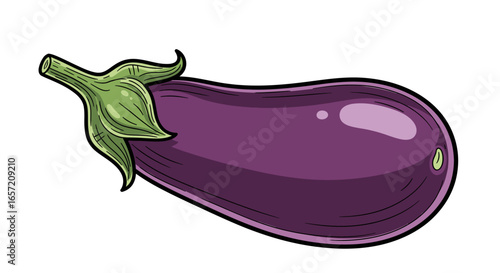 Illustration of a fresh, purple eggplant with a green stem and leaves.