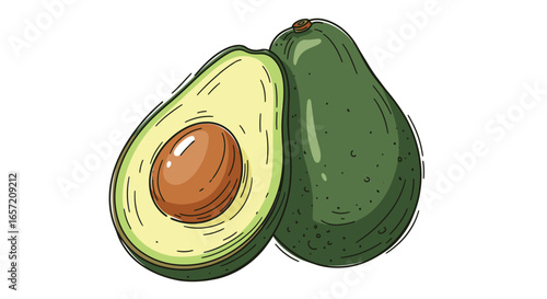 A vibrant illustration of a whole avocado next to a perfectly halved avocado, revealing its creamy flesh and large pit.