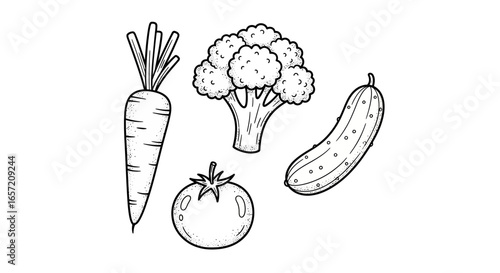 A collection of fresh vegetables including a carrot, broccoli, tomato, and cucumber.