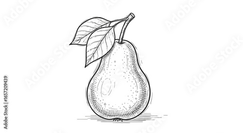 A hand-drawn black and white illustration of a single pear with a stem and two leaves in a vintage sketch style.