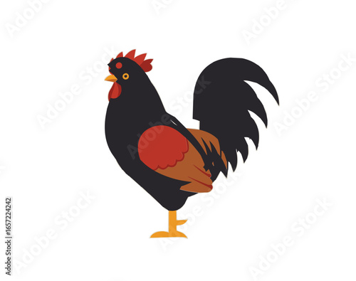 Cartoon Style Detailed Rooster Farm Animal Agriculture Poultry Bird Illustration