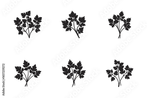 Parsley Herb Silhouette Pattern for Culinary and Decorative Purposes Fresh and Aromatic Herb Background with Simple and Elegant Design