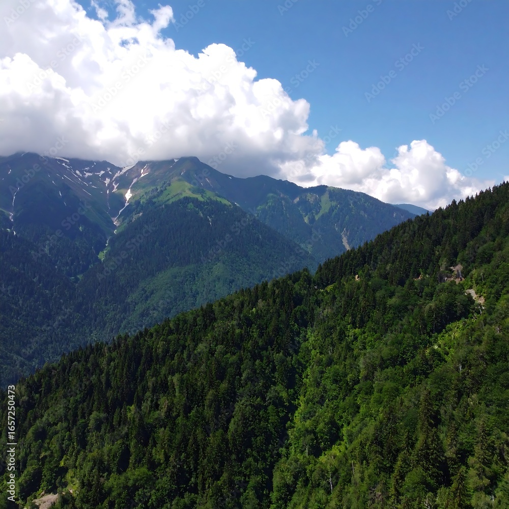 Obraz premium Mountainous landscape, dense forests