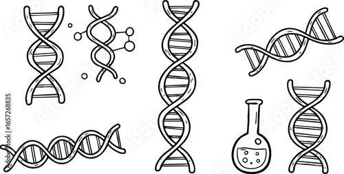 DNA double helix structures with laboratory flask and molecules vector illustration 