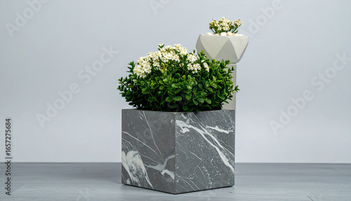 Marble Planter in Bright Light: An elegant composition of marble planters, each showcasing thriving green plants and delicate white blooms. Captured under a bright light.