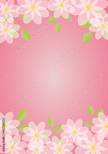 White flowers with leaves and light on pink background. Illustration for Valentine, greeting card, spring or springtime, season, cover and banner. Copy space for the text. Minimal design style.