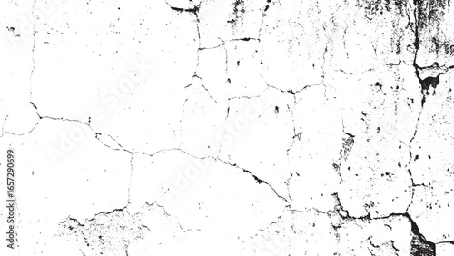 Black and White Cracked Grunge Wall Overlay Texture