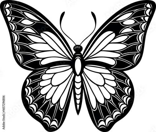 Symmetrical monochrome butterfly illustration with detailed wings and bold outlines design