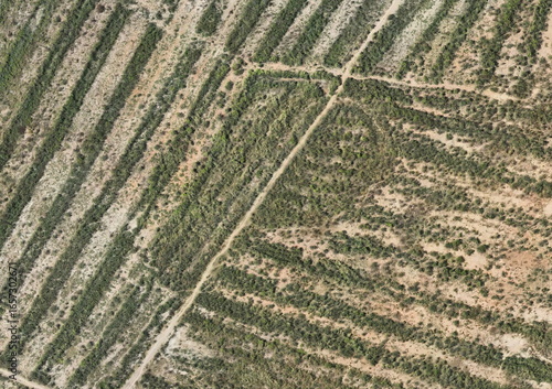 Top View Aerial Photograph