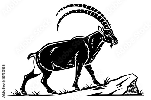 Ibex animal sihouette black vector
