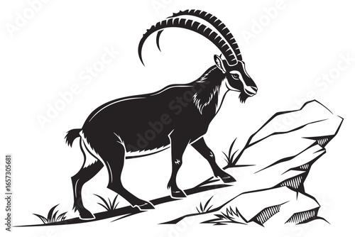 Ibex animal sihouette black vector