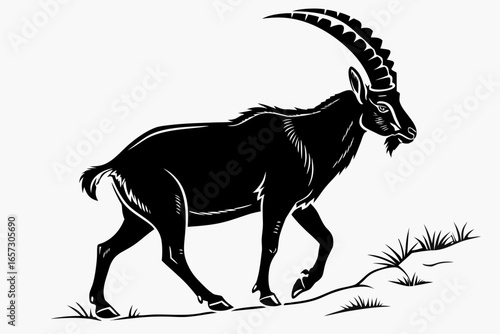 Ibex animal sihouette black vector