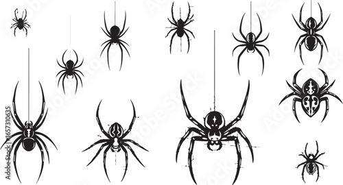 Collection of diverse black widow spiders in various poses and sizes isolated on white background