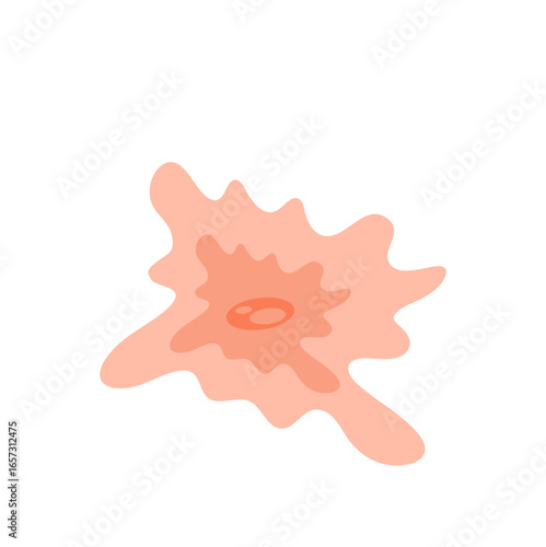 Human fibroblast cell vector illustration