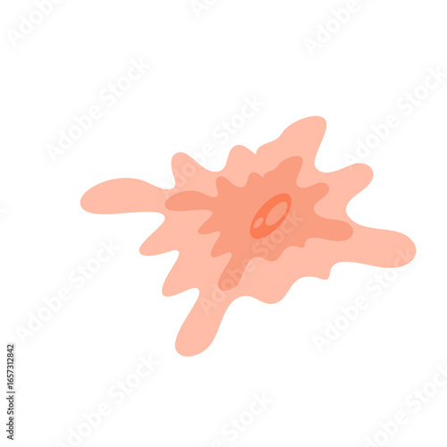 Human fibroblast cell vector illustration