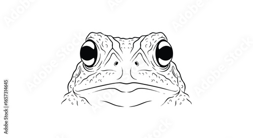 A black and white line art illustration of a toad's face looking directly forward.